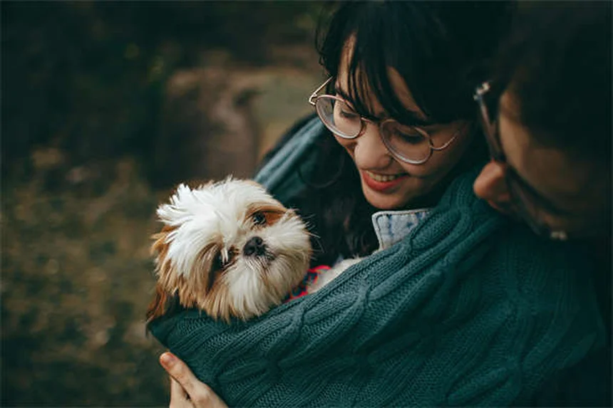 10 conseils essentiels avant d'adopter un chien ou un chat